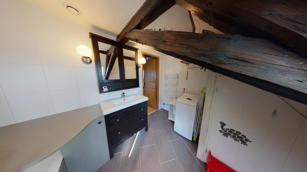 Spacious Duplex City Center Strasburgo Esterno foto